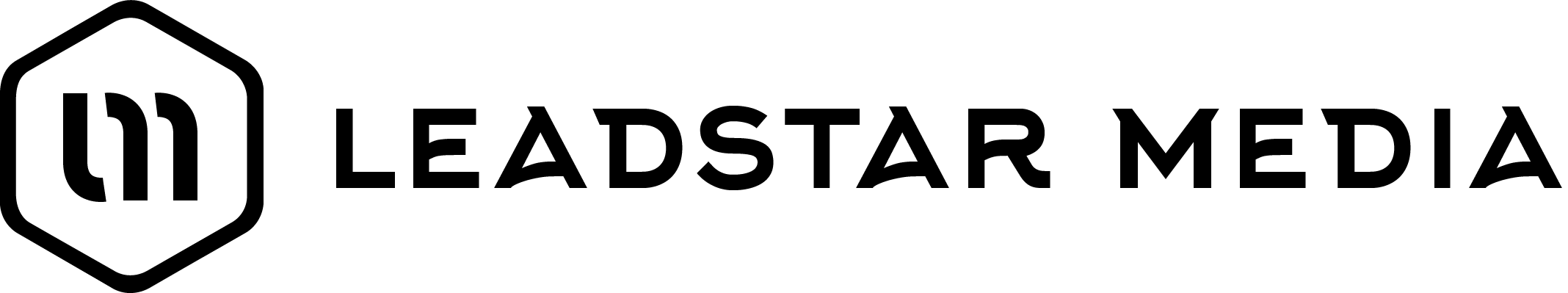 leadstarmedia.com logo